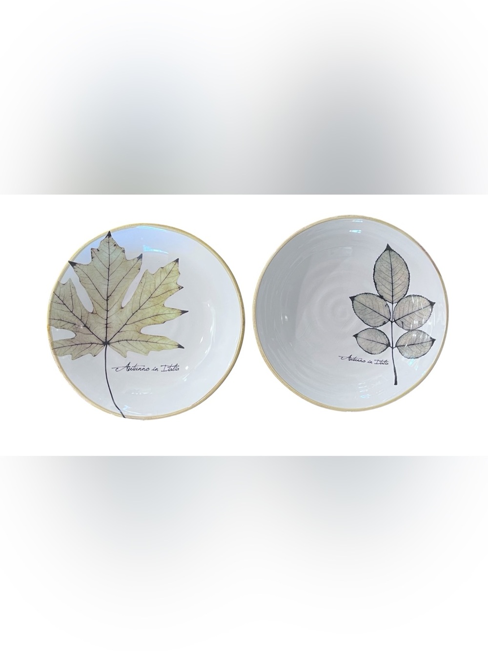 Ceramica Cuore Autunno in Italia pasta bowls, two-piece.  Made in Italy